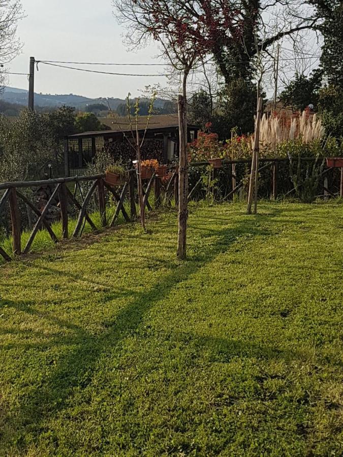 B&B La Casetta Di Lilly Amelia Exterior photo